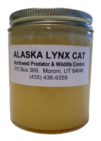 Alaska Lynx Cat