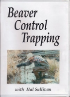 Beaver Control Trapping