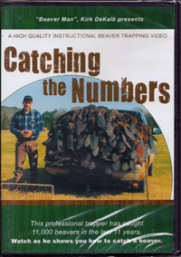 Catching the Numbers