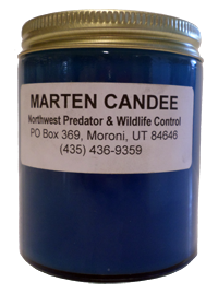 Marten Candee