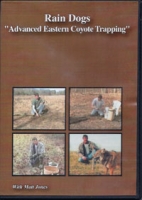 Rain Dogs, Advanced Eastern Coyote Trapping