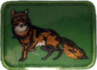 Sew On Patch Fox