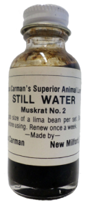 Still Water