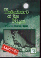 Teachers of the Night - Raccoon